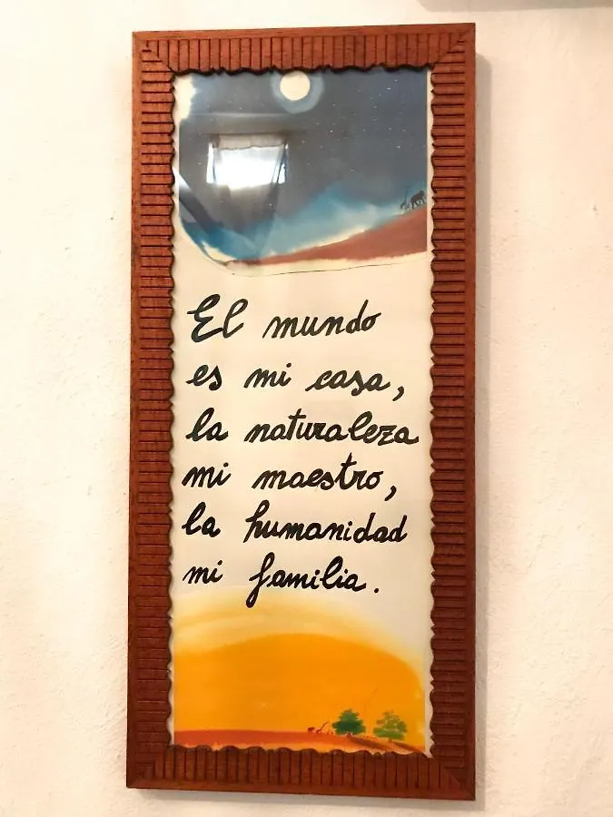 La Casa Encantada Del Bosque Icod De Los Vinos