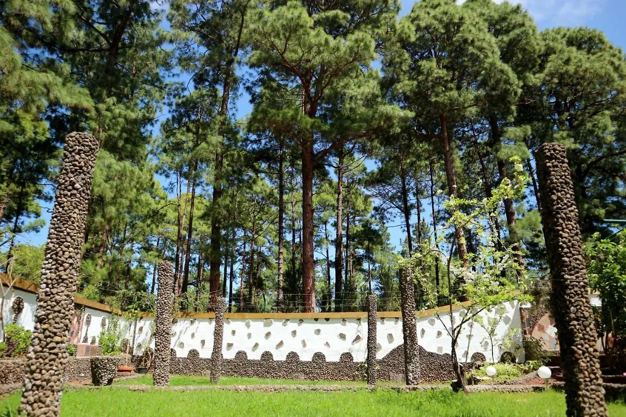 La Casa Encantada Del Bosque Icod De Los Vinos Vakantiehuis