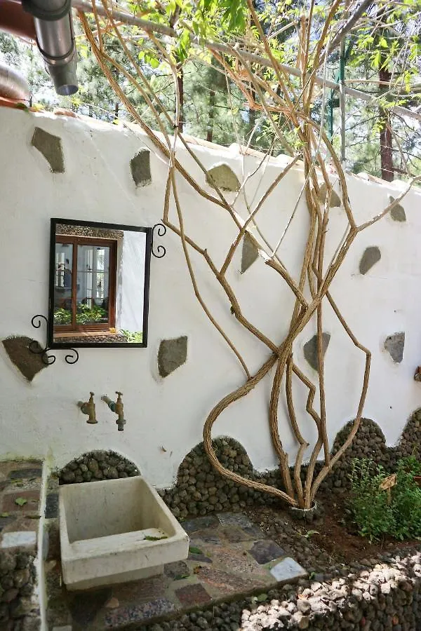 La Casa Encantada Del Bosque Icod De Los Vinos Casa vacanze
