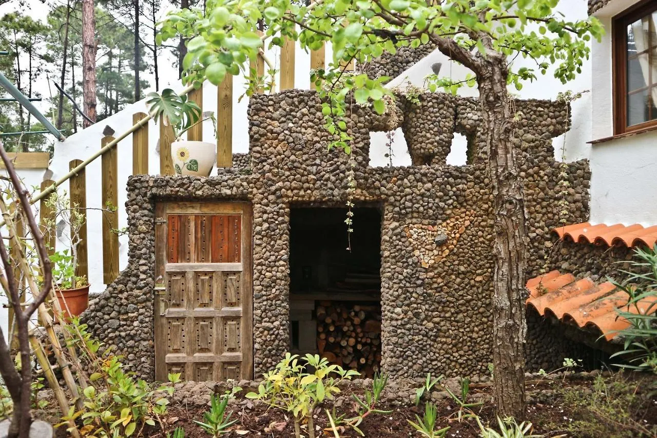 La Casa Encantada Del Bosque Icod De Los Vinos