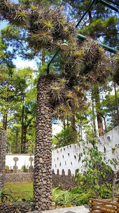 La Casa Encantada Del Bosque Icod De Los Vinos Spanje